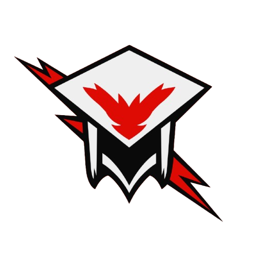 Raidens